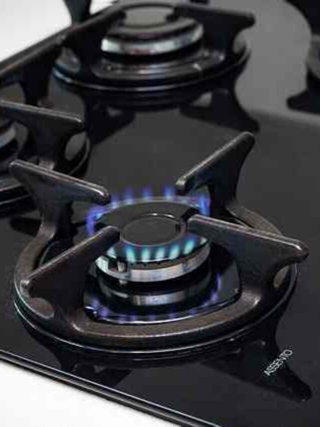 Best gas stove