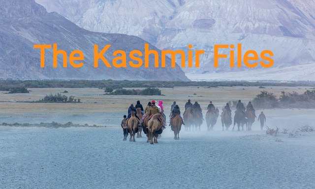 The Kashmir Files, द कश्मीर फाइल्स