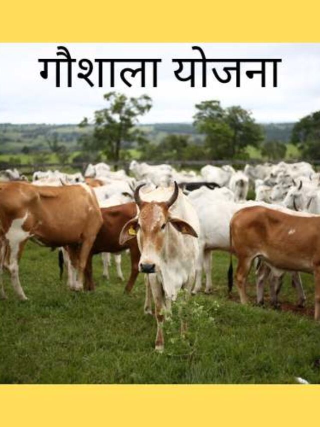 Gaushala Yojana